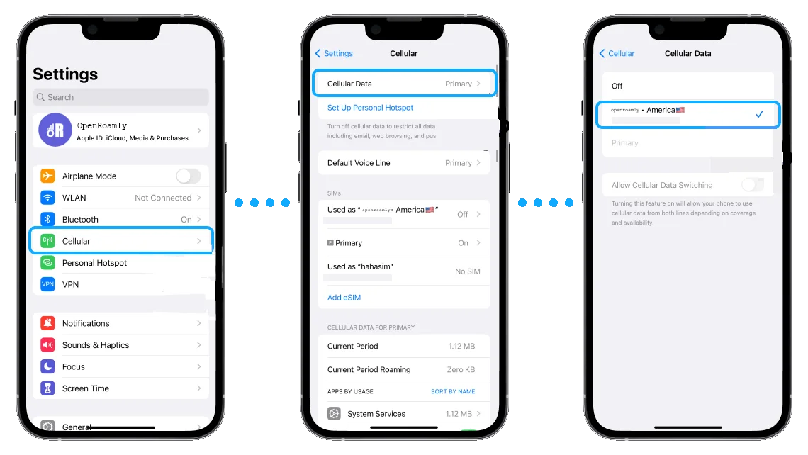 iOS Mobiele data: OpenRoamly geselecteerd